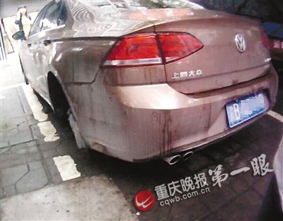 愛(ài)車(chē)愛(ài)成了這樣 買(mǎi)低配版大眾凌渡 偷頂配版輪胎升級(jí)