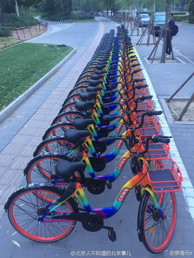 圖為彩虹單車(chē)。