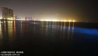 2017年9月17日凌晨，在河北省秦皇島市金夢(mèng)海灣浴場(chǎng)拍攝的“熒光海”。